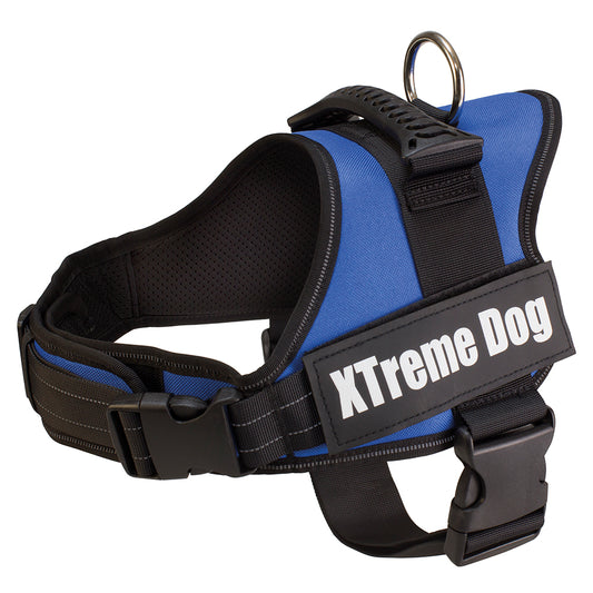 Arnés Xtreme Dog Color Azul
